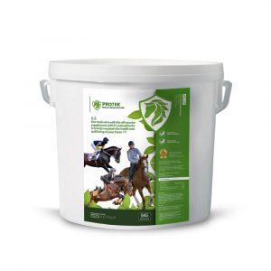 Digestive Supplement for horses