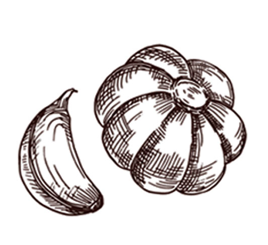 garlic