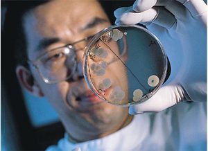 James Tang, Protek scientist, examining bacterial cultures in a petri dish