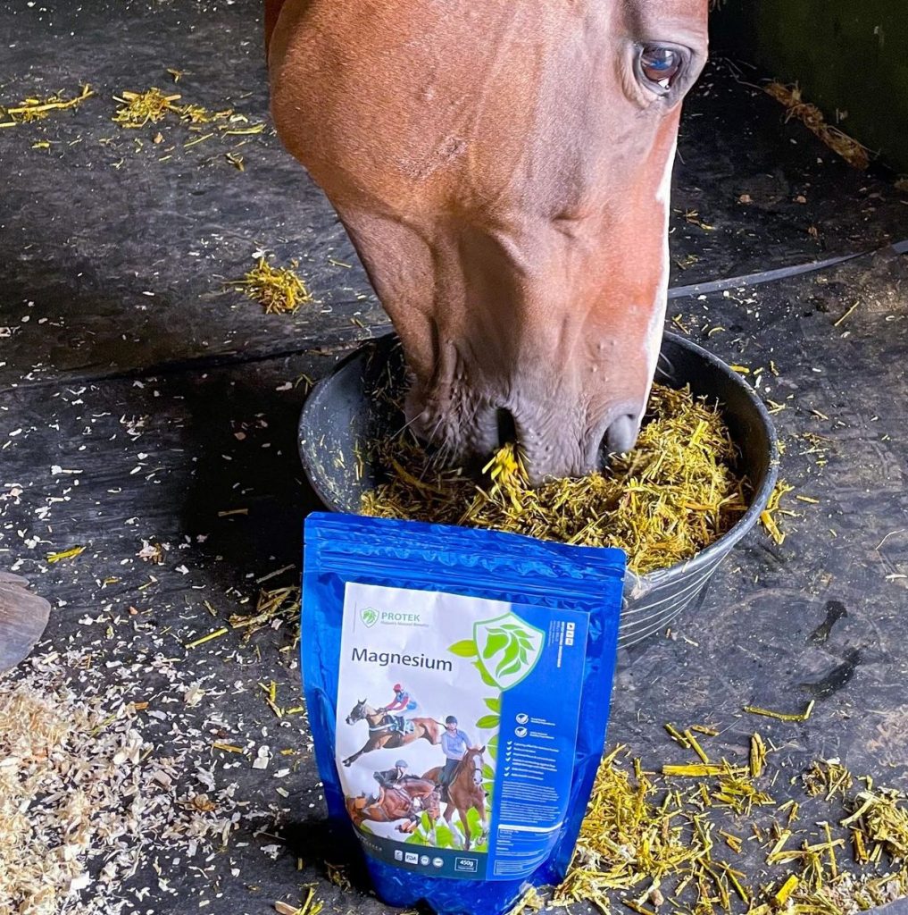 natural calm horse magnesium