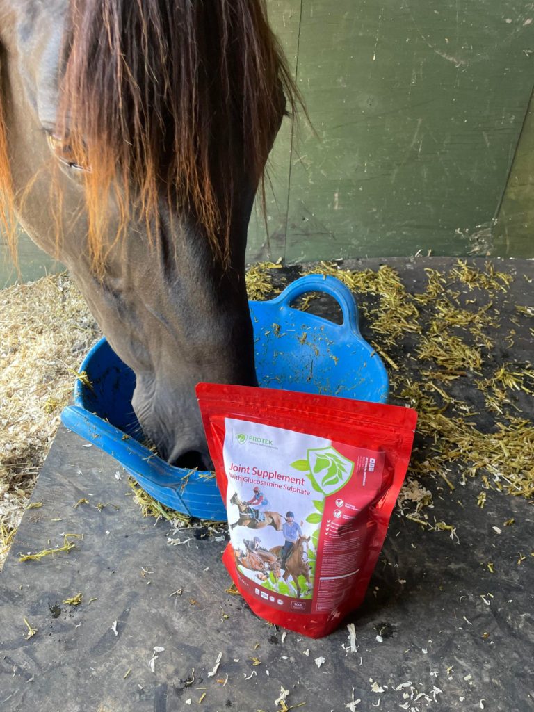 Horse eating beside a bag of Protek Joint Supplement