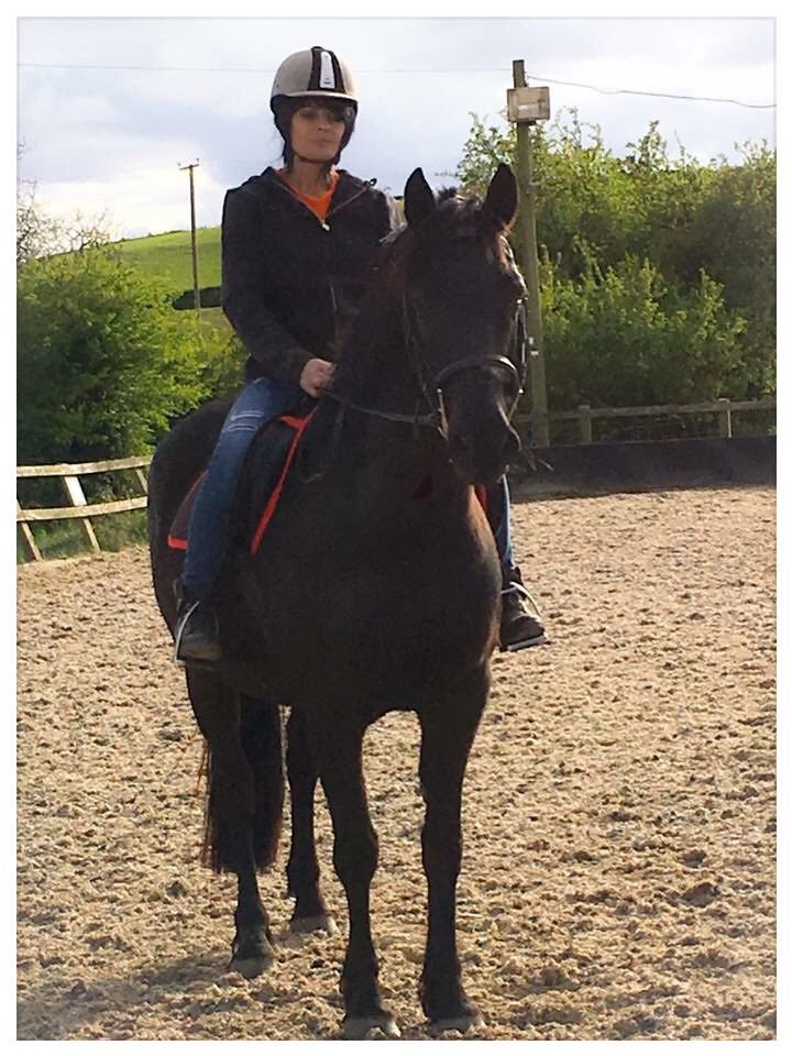 Rider on a dark horse in an outdoor riding arena