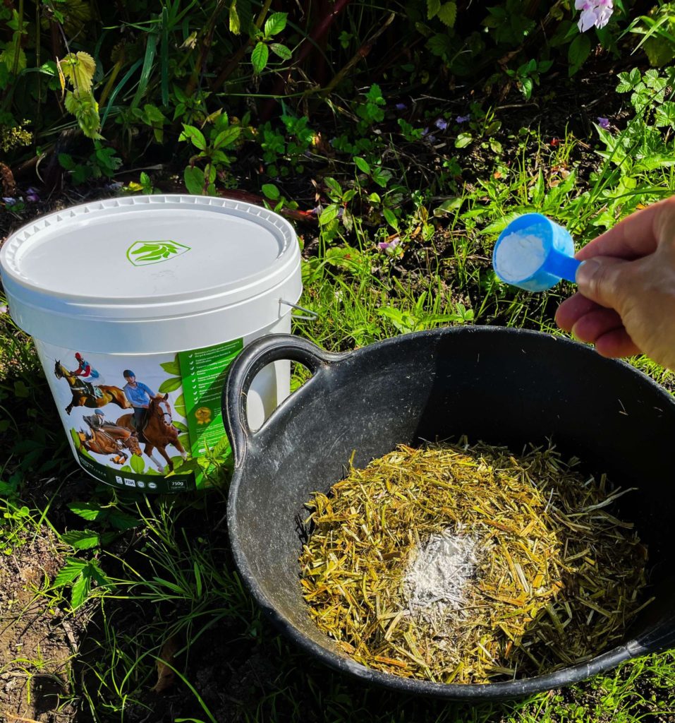 horse supplements