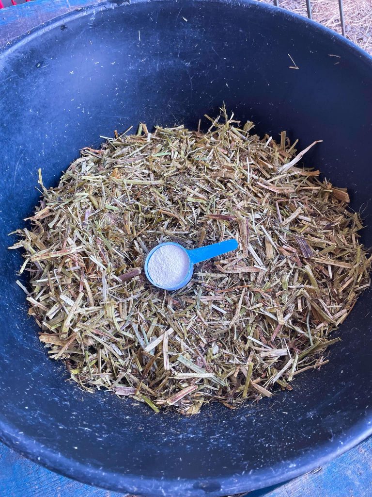 abscess