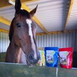 Equine Products