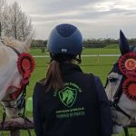 Equine Products