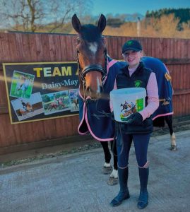 Supplement for ulcers in horses