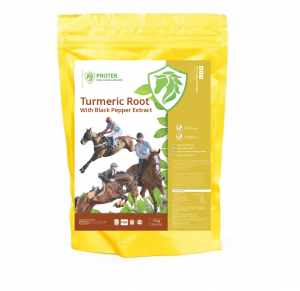 Digestive supplement for horses