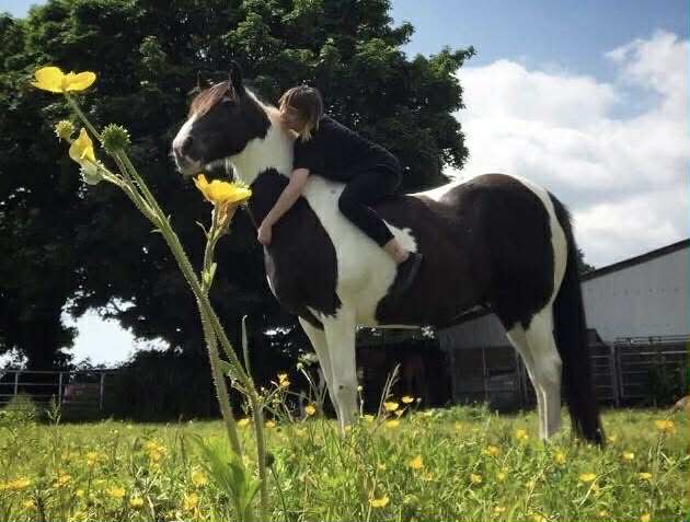 Woman hugging piebald horse in flower-filled field