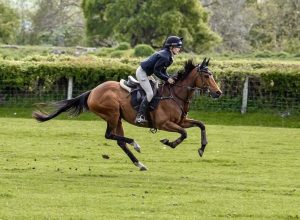 Jockey riding a galloping horse on a grassy field